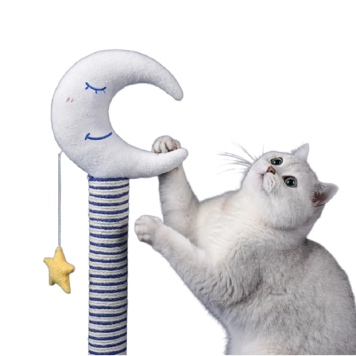 Meilleurs prix pour Cat scratch carton ovale ondulé coussin de grattage chat scratch salon lit panneau de recyclage durable chat scratch bol   meubles scratch