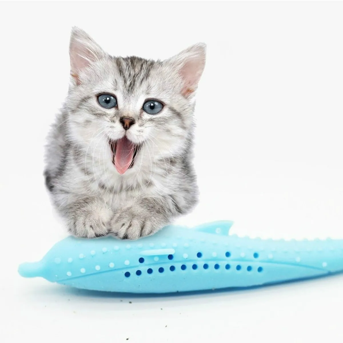 Comparer les prix de Jouet pour dauphin en silicone nettoyage dents de chat bleu