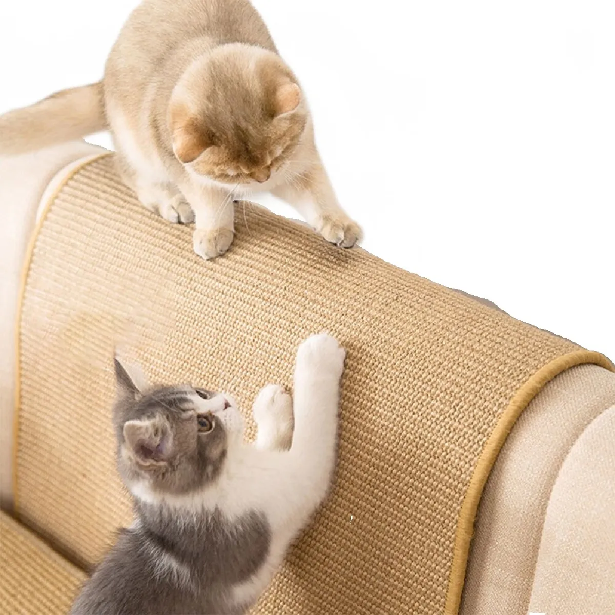 Meilleurs prix pour Coussin de sisal, coussin de griffe de chat, résistant à l'usure, protection contre les rayures, canapé, griffe de chat, fournitures pour chat, jouet, griffe de chat.