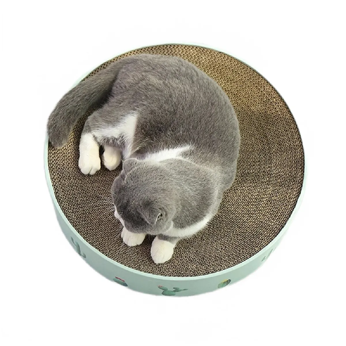 Meilleurs prix pour Un jouet de chat ondulé.