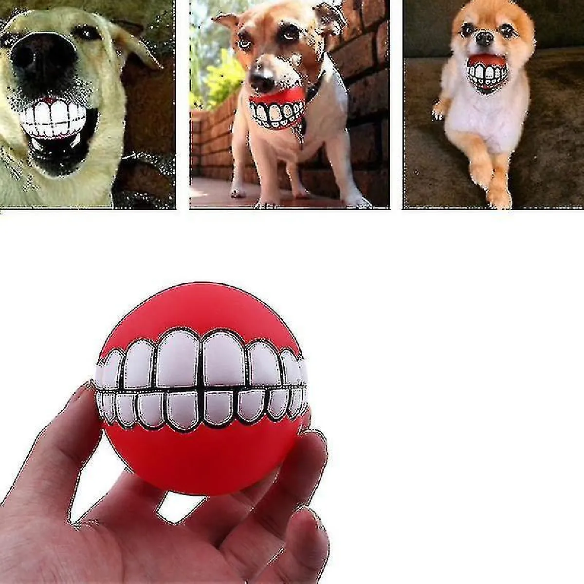 Meilleurs prix pour 3pcs Jouet de Balle pour Chien Dents de Couleur Aléatoire Jouet en Silicone Mâcher Des Chiens Sonores Jouer au Jouet