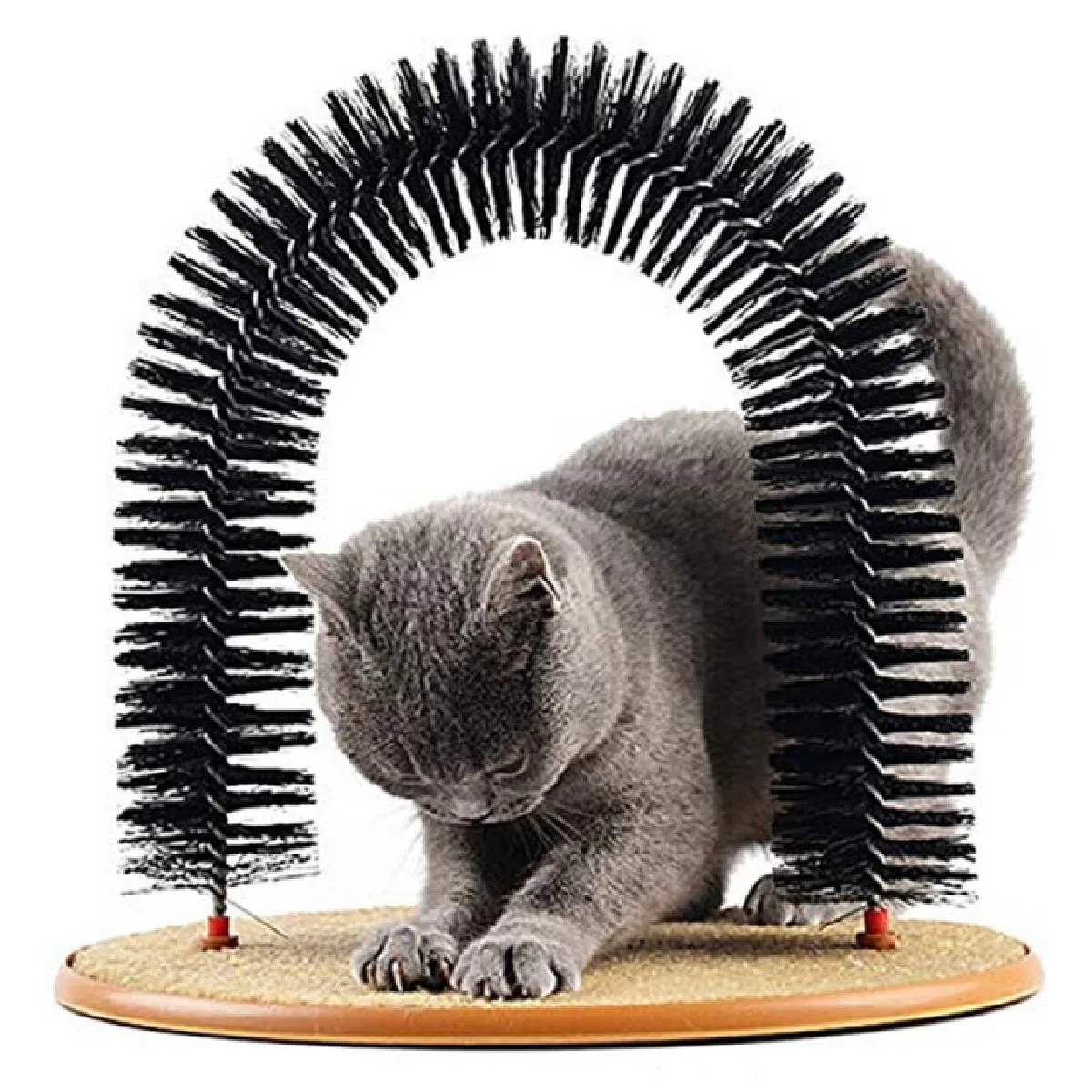 Meilleurs prix pour Confortable masseur pour chat voûté pour chat d'animaux de compagnie inculquer des produits de beauté socle rond en laine jouets pour chatons pinceaux d'équipement pour attraper des animaux de compagnie   Retouche de chat
