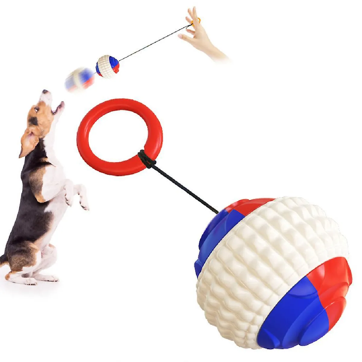 Meilleurs prix pour Jouet de corde interactif pour chien Jouets de balle à mâcher Corde télescopique automatique Facile à utiliser