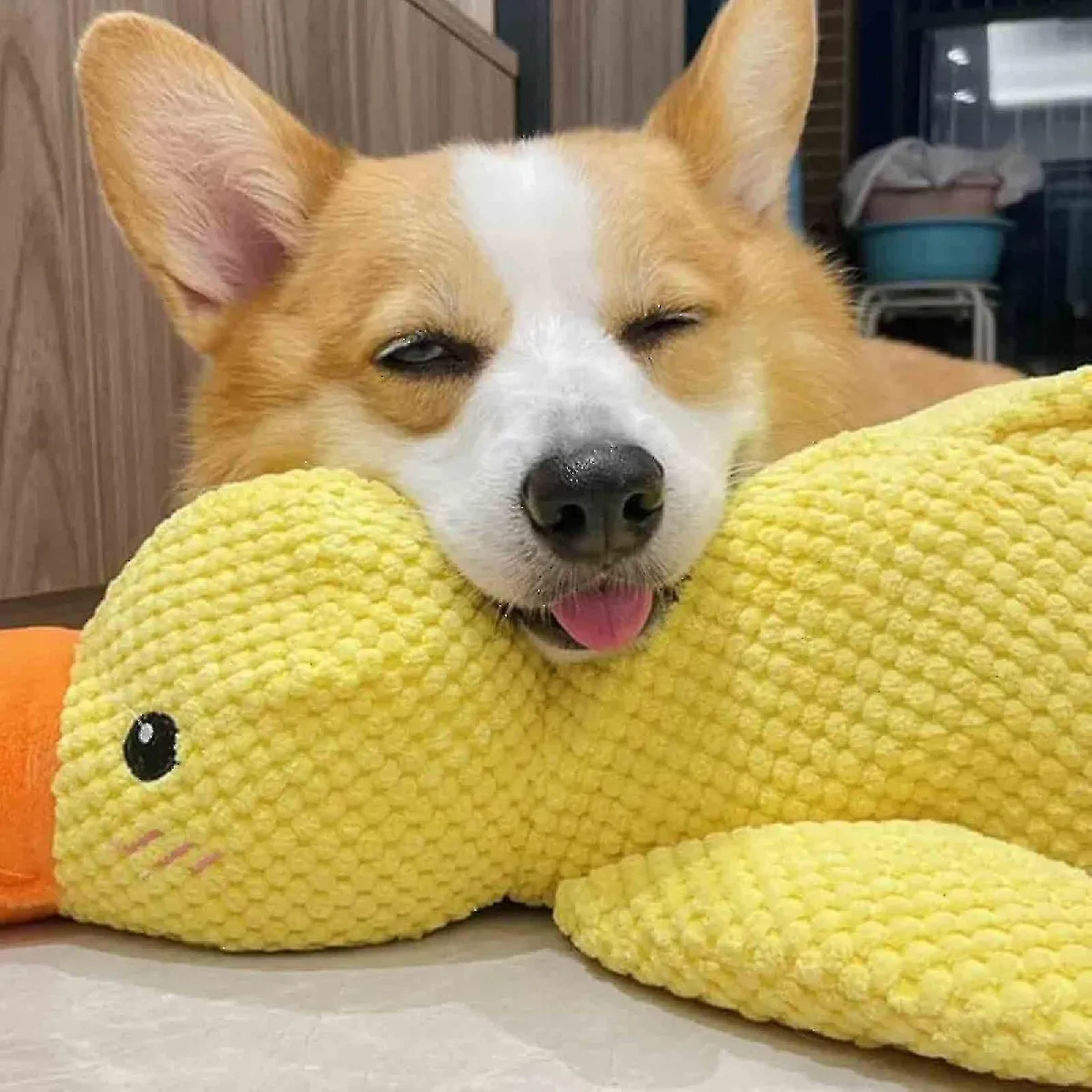 Meilleurs prix pour Jouet de canard de charlatan interactif compatible avec le chien avec un vrai son de charlatan, jouet de chien de canard en peluche, 100% nouveau -szhg