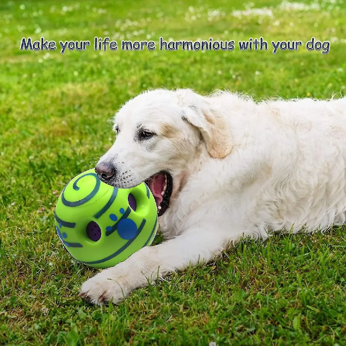 Meilleurs prix pour Jouet interactif pour chien, entraînement amusant du chiot Jouer en toute sécurité et voix amusante Bubble Ball pour les petits
