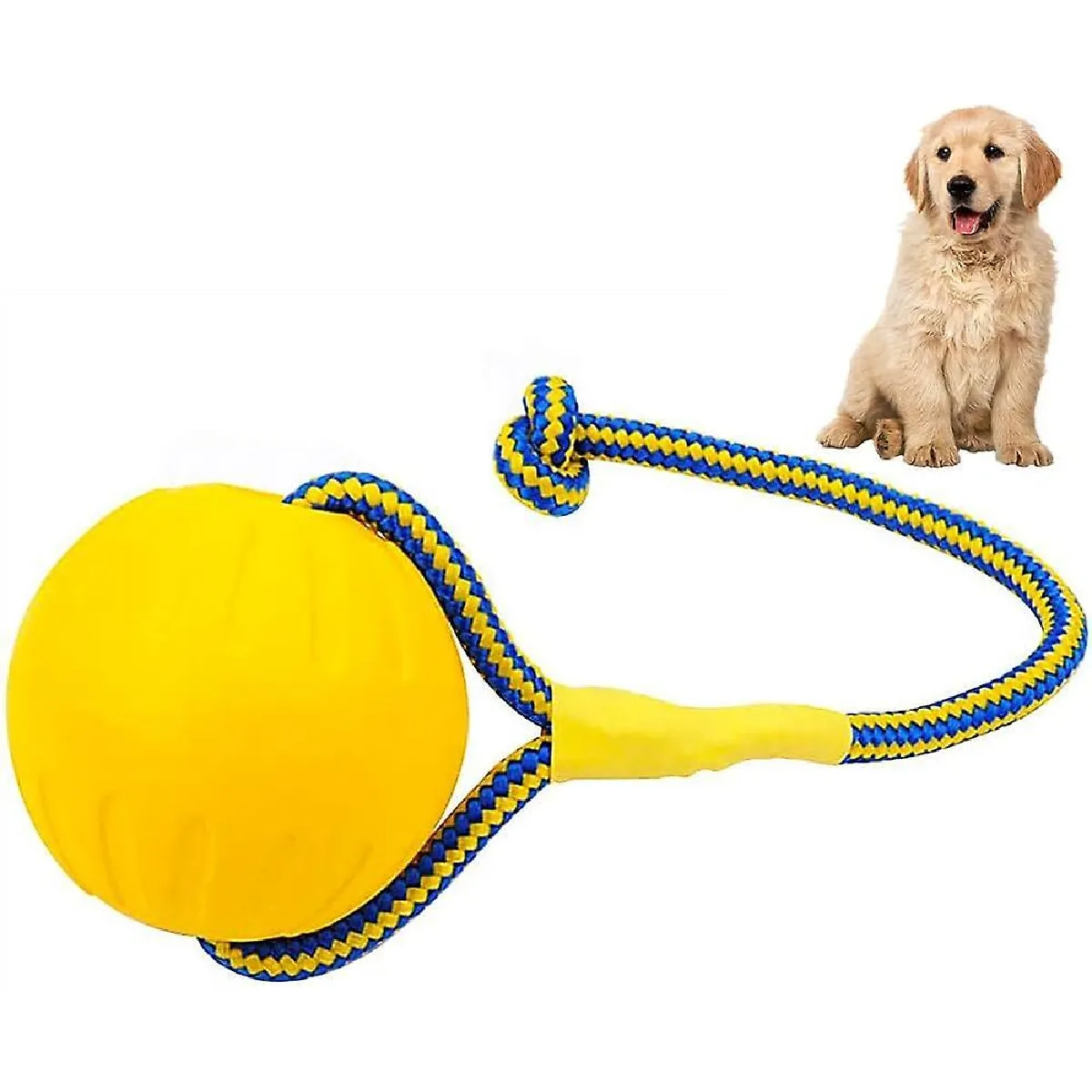 Comparer les prix de Lanceur de balle interactif pour chien pour exercice d'entraînement de jeu d'animaux de compagnie avec corde - 7cm de diamètre