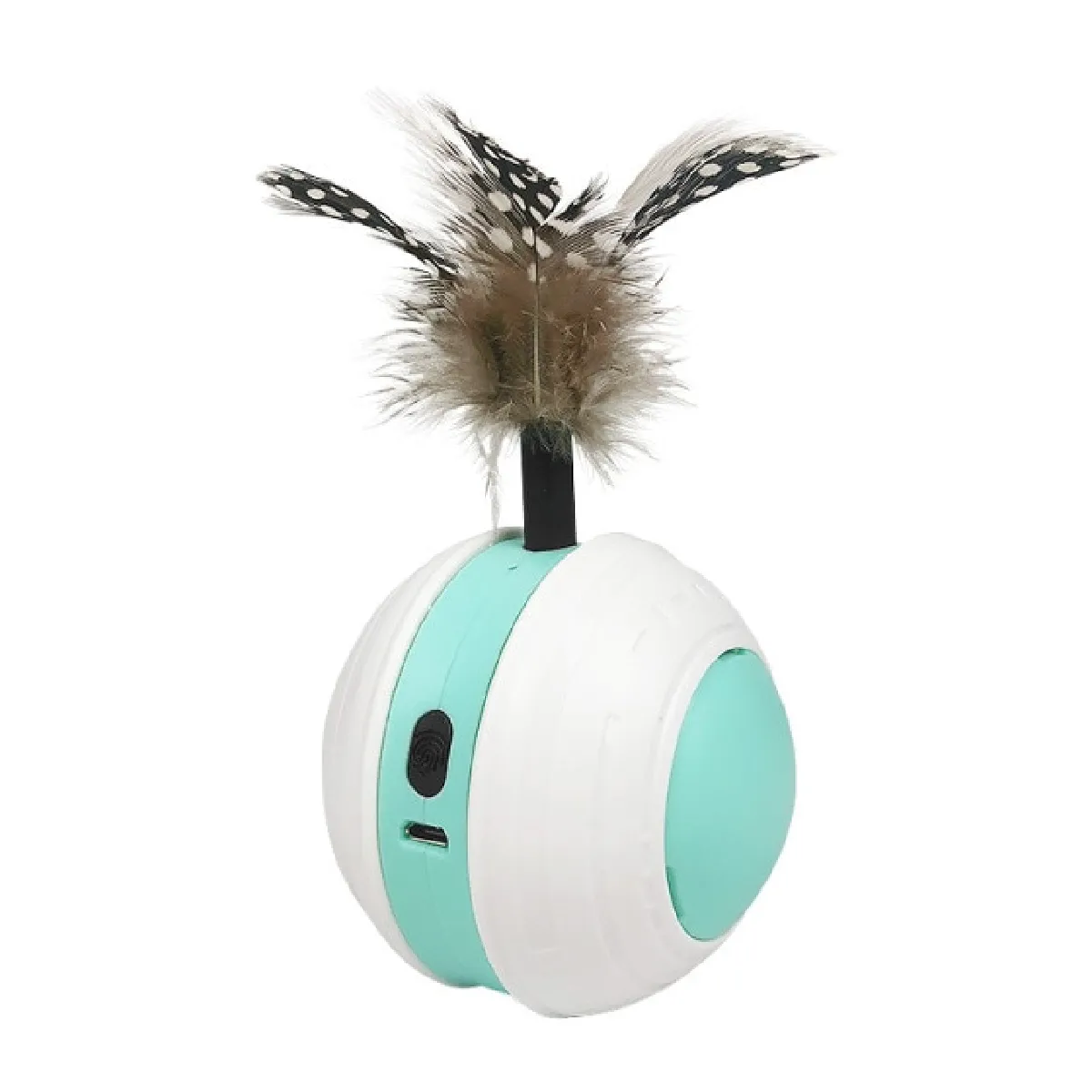 Jouets pour chat jouets pour chat jouets interactifs pour animaux de compagnie jouets de jeûne pour chats jouets pour chats