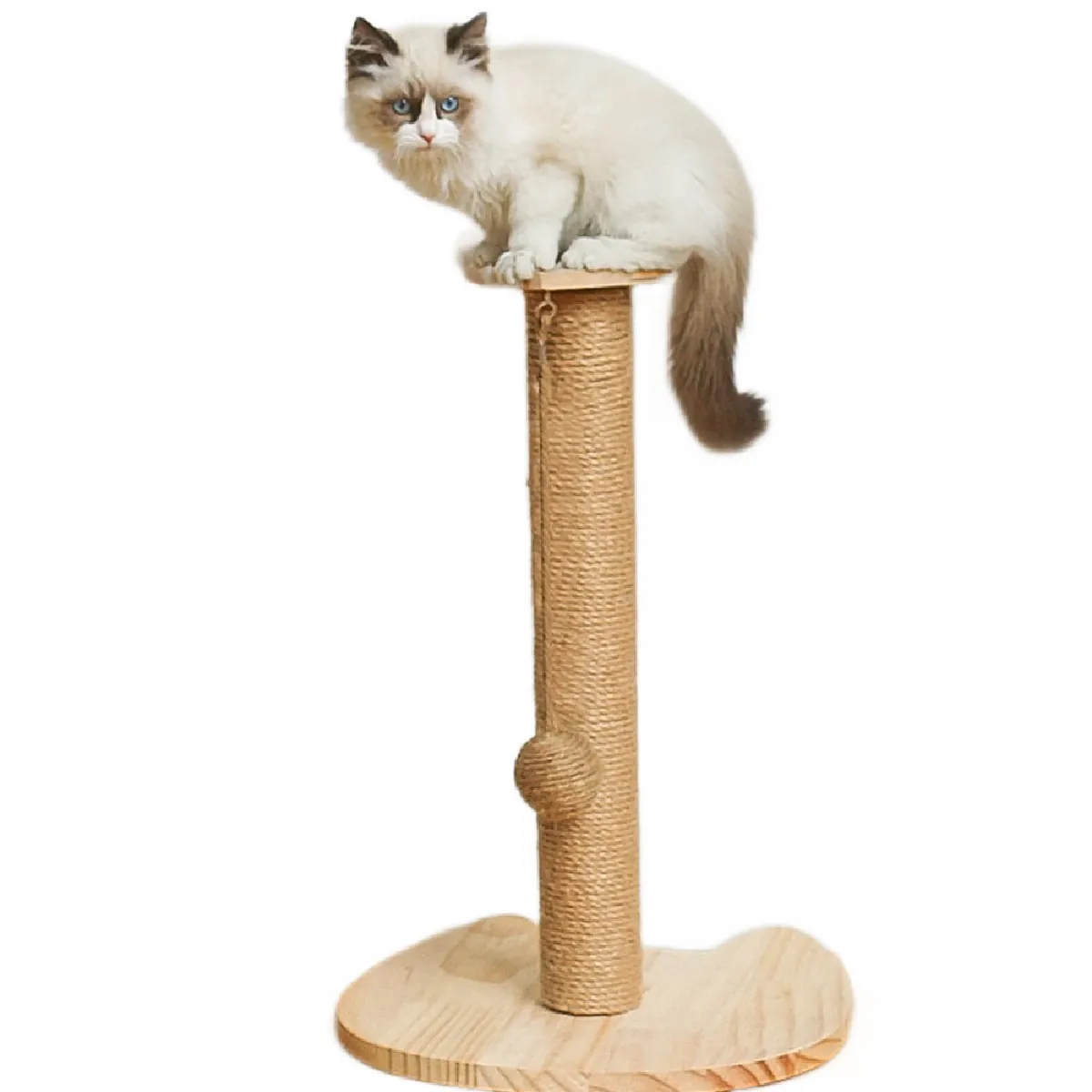 Comparer les prix de Petit chat en bois massif simple sisal chat arbre jouet pilier chat attraper chat mentir cadre