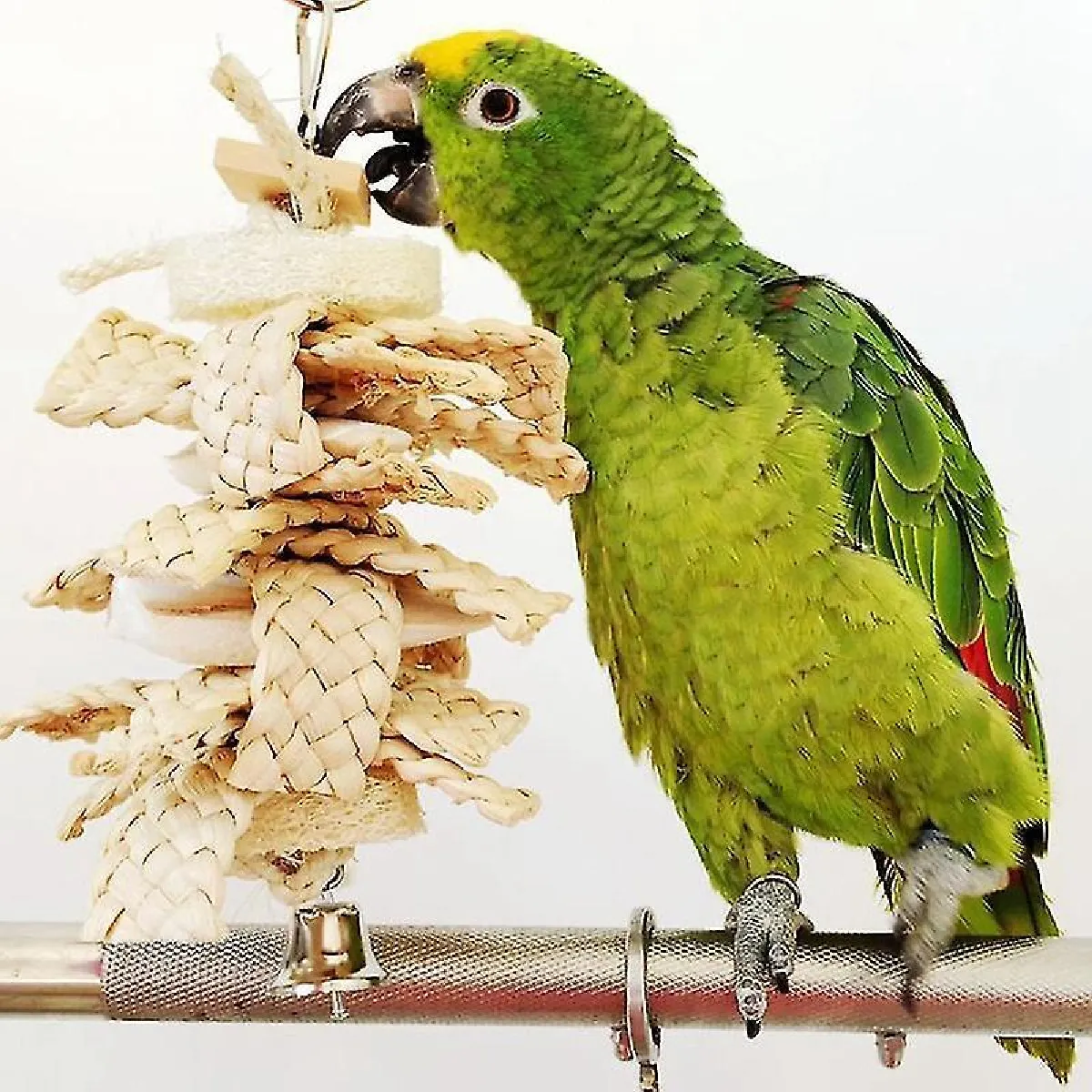 Meilleurs prix pour Jouet de Morsure de Cornflake de Luffa d'os de Seiche de Calmar de Perroquet