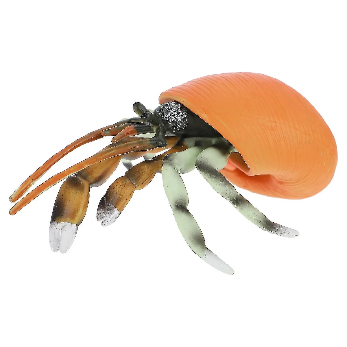 Meilleurs prix pour Modèle de Crabe Ermite Simulé Simulation Pour Enfants Modèle Animal Marin Faux Jouet de Crabe Ermite