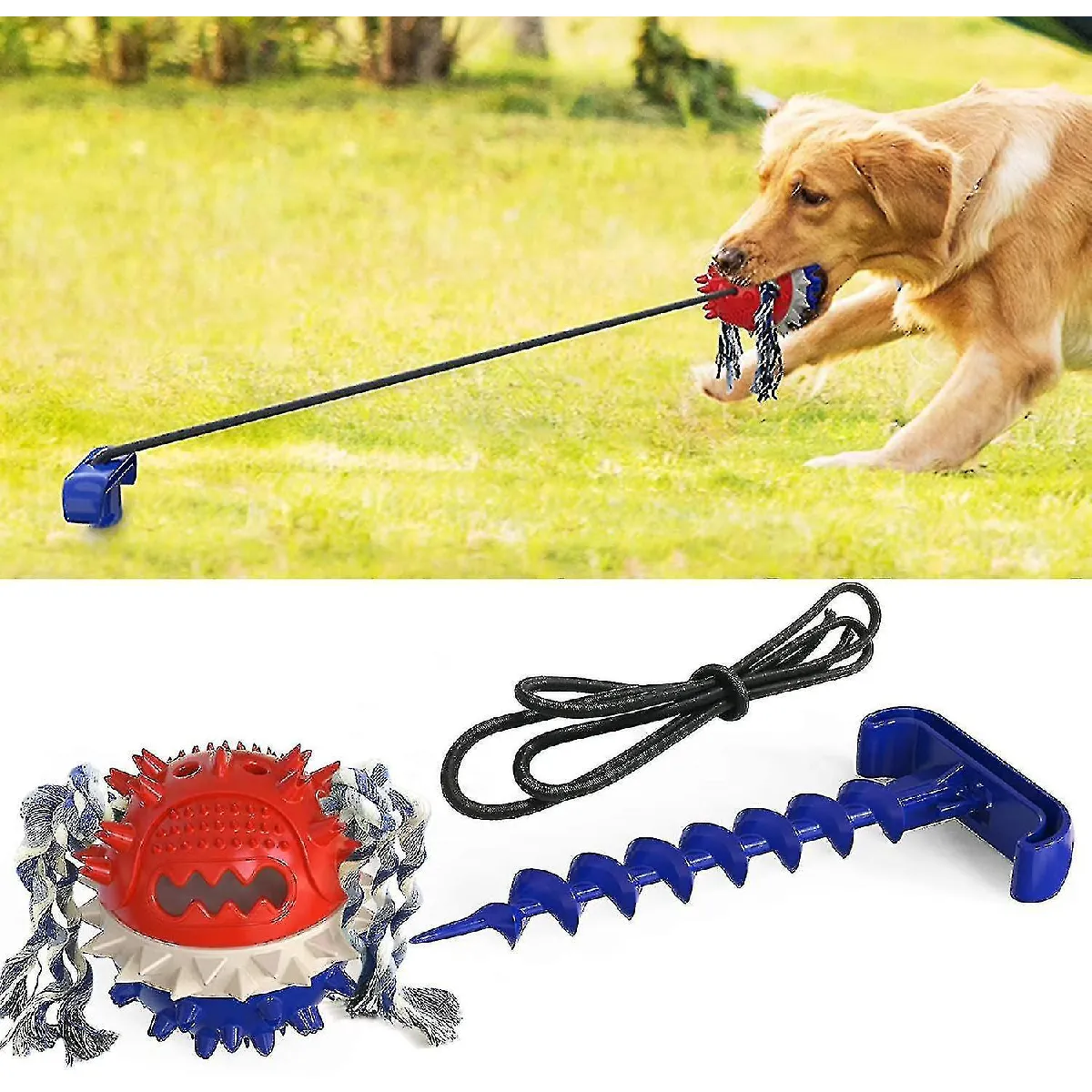 Comparer les prix de Jouet de dentition pour chien en forme de maïs pour la dentition des chiens de petite et grande taille.