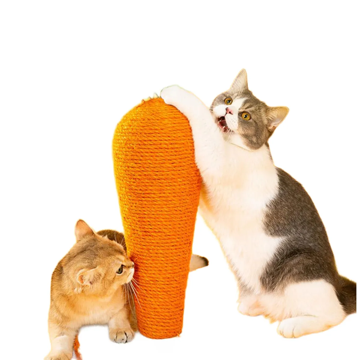 Meilleurs prix pour Tour arbre chat carotte - Orange