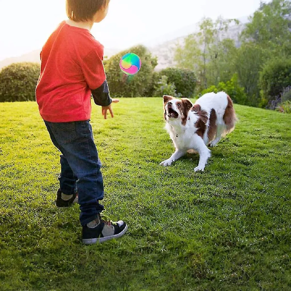 Meilleurs prix pour Nouveau-2 Boules De Chien Lumineuses Clignotantes Boule Élastique Brillent Dans Le Noir Jouets Interactifs Pour Animaux De Compagnie Pour Chiot