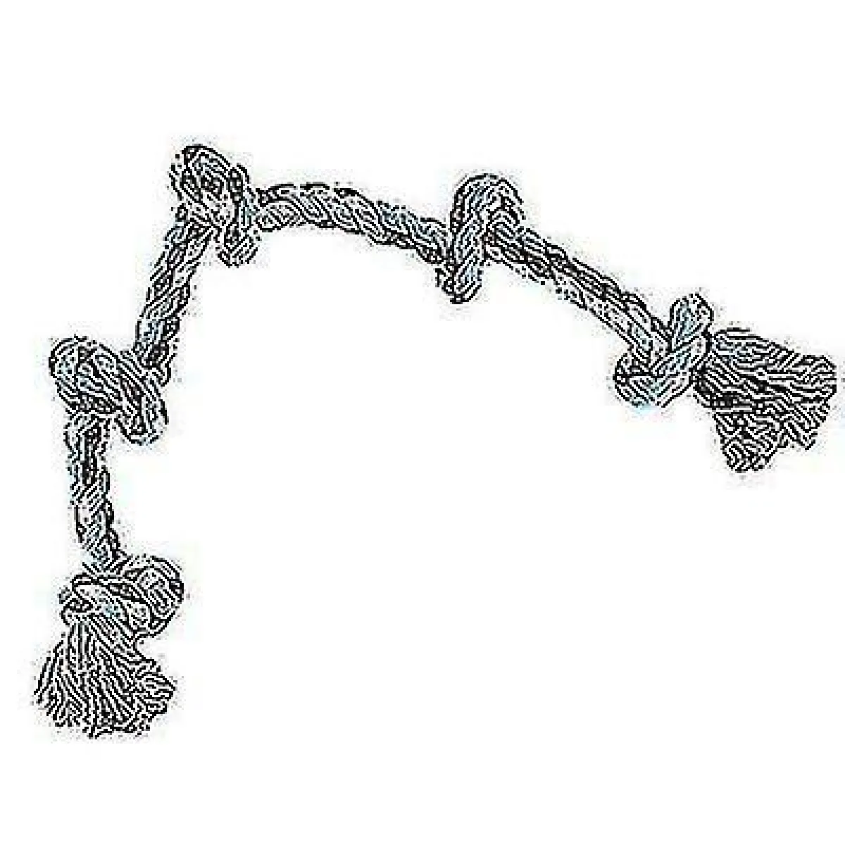 Meilleurs prix pour Jouet Molaire pour chien Corde à mordre Corde à mordre pour fourmis