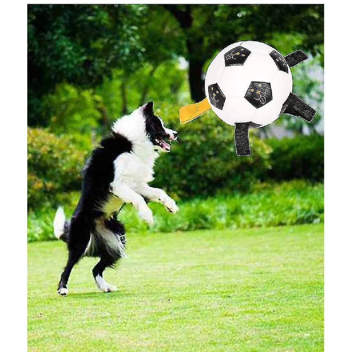 Meilleurs prix pour Jouet pour animaux de compagnie, jouets de football pour chien, jouets de football interactifs pour chiens avec languettes de saisie, balles de chien durables pour petit jouet aquatique pour chien de race moyenne intérieur et extérieur