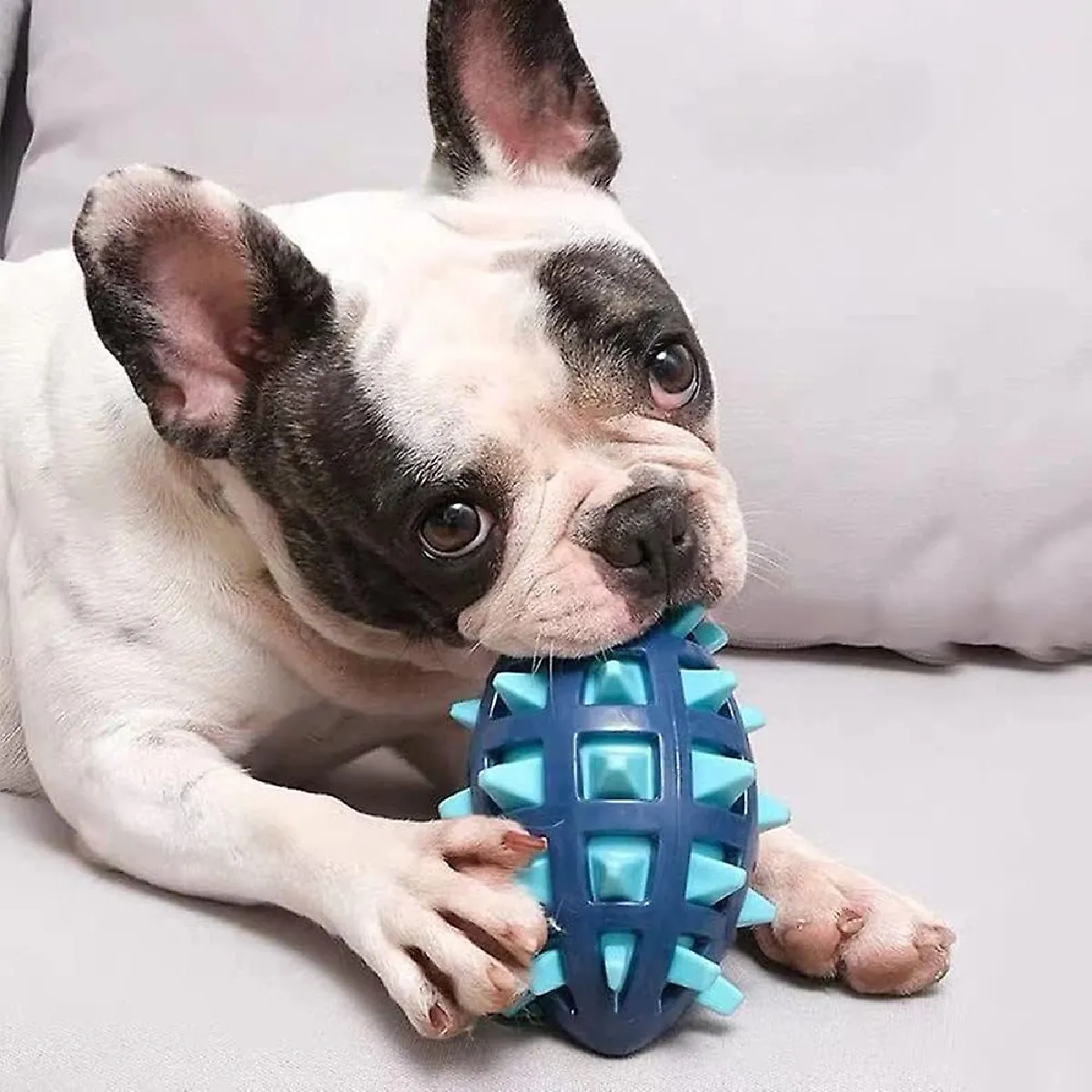 Meilleurs prix pour Jouets à Mâcher pour Chiens Agressifs, Indestructible, Jouet d'Entraînement Interactif en Caoutchouc Naturel, Brosse à Dents Nettoyante pour Chiens de Taille Moyenne et Grande
