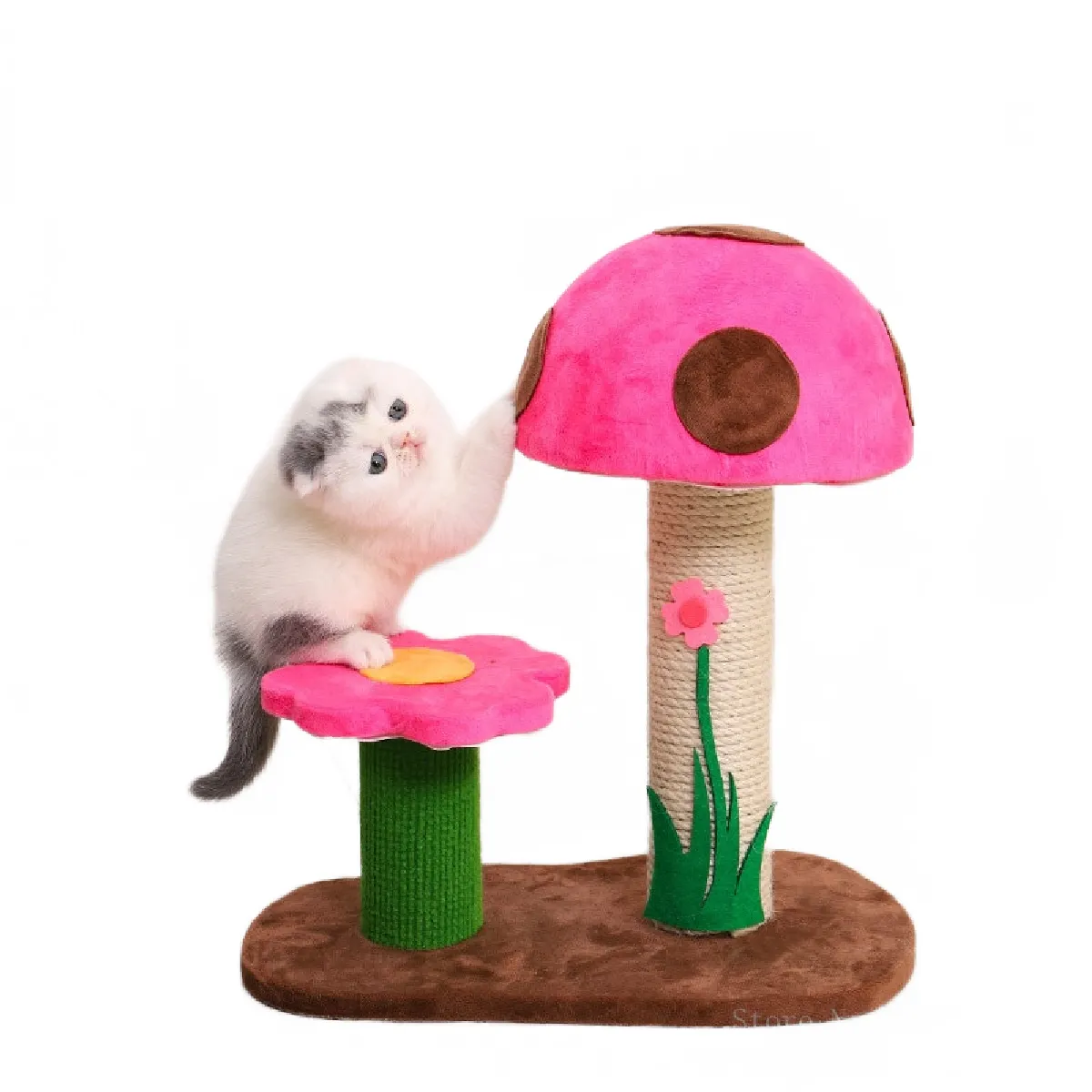 Meilleurs prix pour Champignons, couvertures, chats, chats, arbres, maisons, chasseurs, chatons, tours, animaux de compagnie, meubles d'escalade, cadres d'escalade, chatons, jouets.