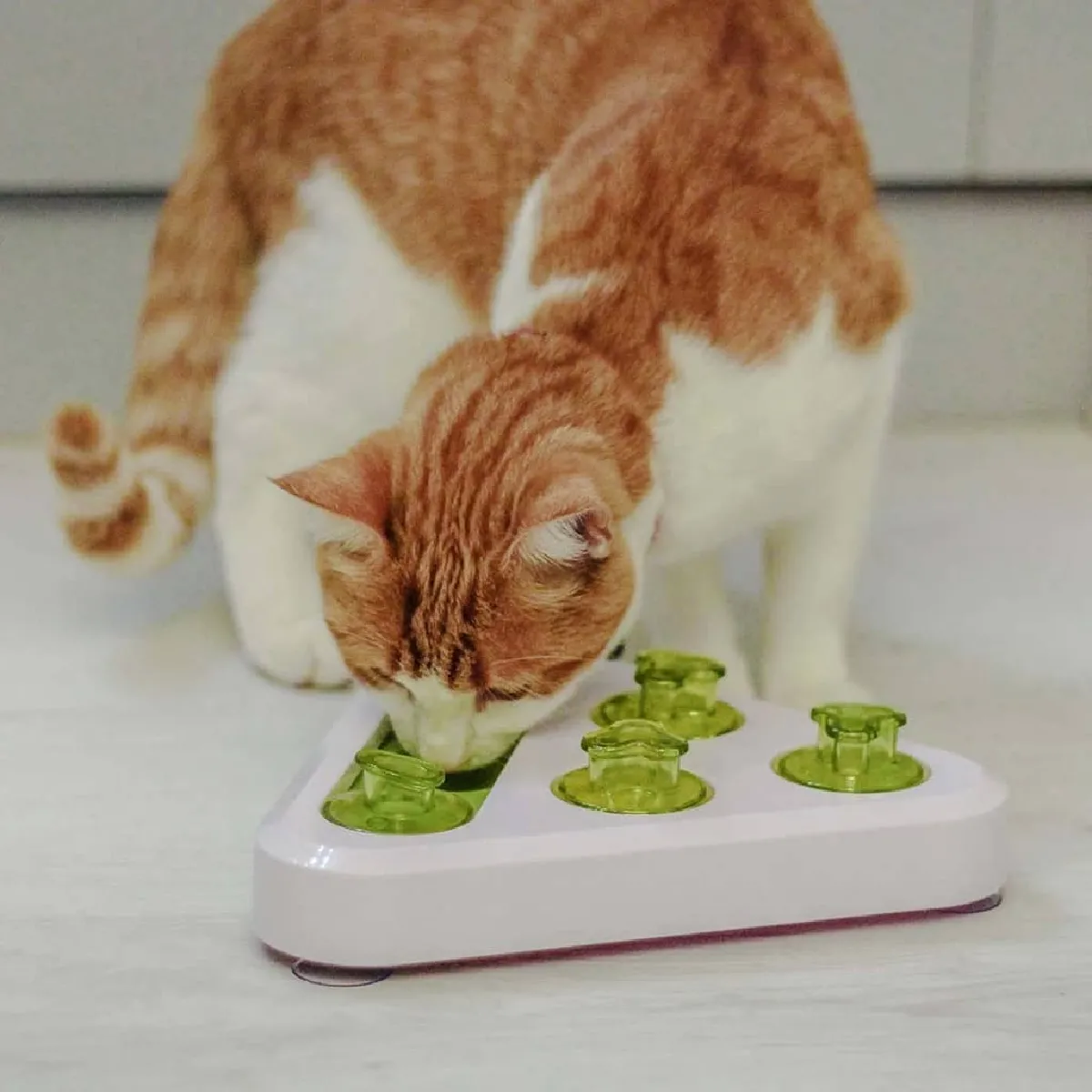 Ferplast Jouet d'activité pour Animaux Trea Ferplast Jouet d'activité pour Animaux Trea