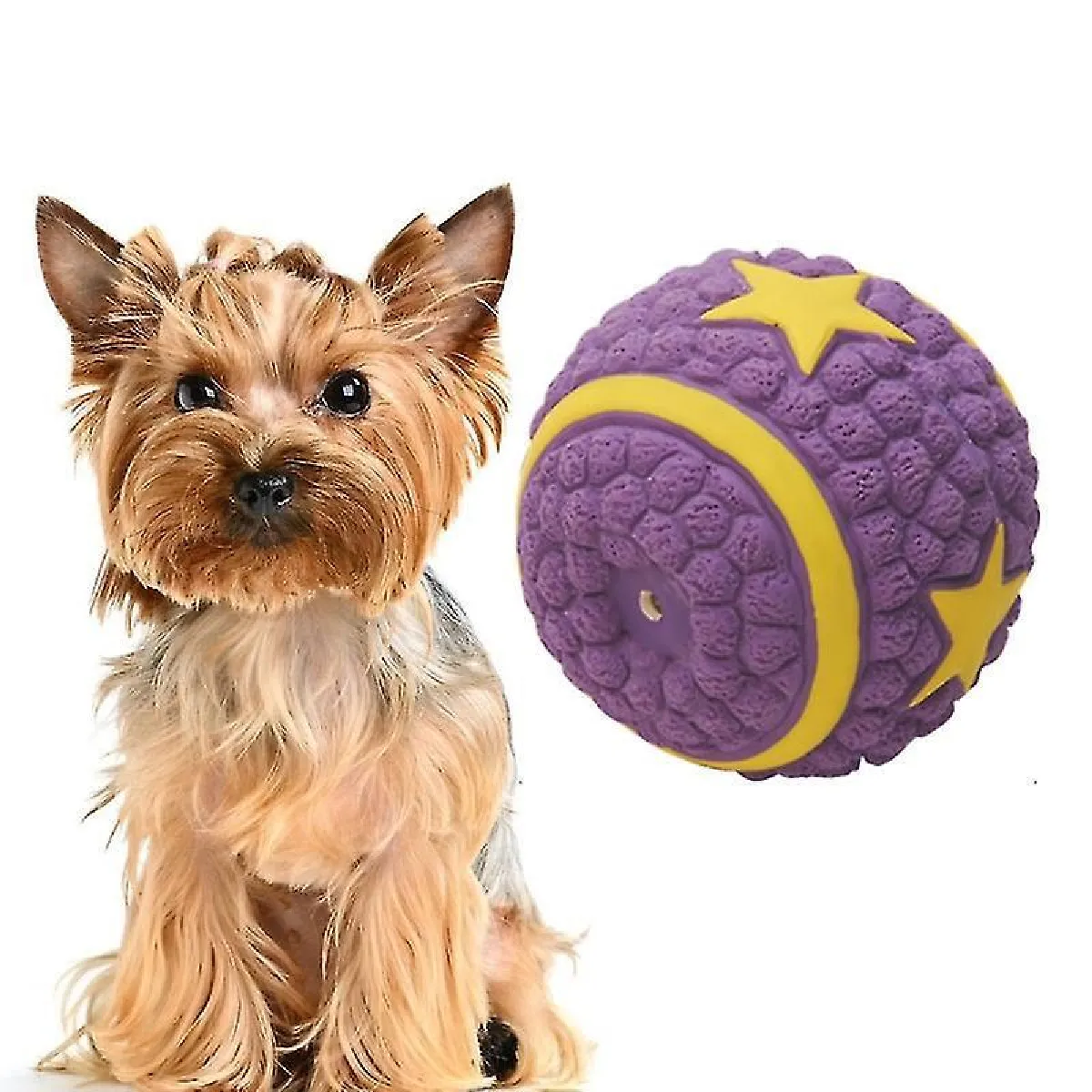 Meilleurs prix pour Jouets pour chien en latex avec balle sonore, spécification : Grande boule à quatre étoiles