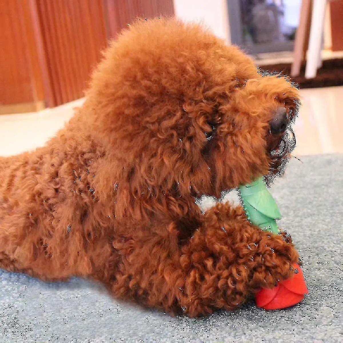 Comparer les prix de Jouets pour chien à mâcher Jouets pour chien de grande et moyenne taille Jouets pour chien indestructibles qui couinent