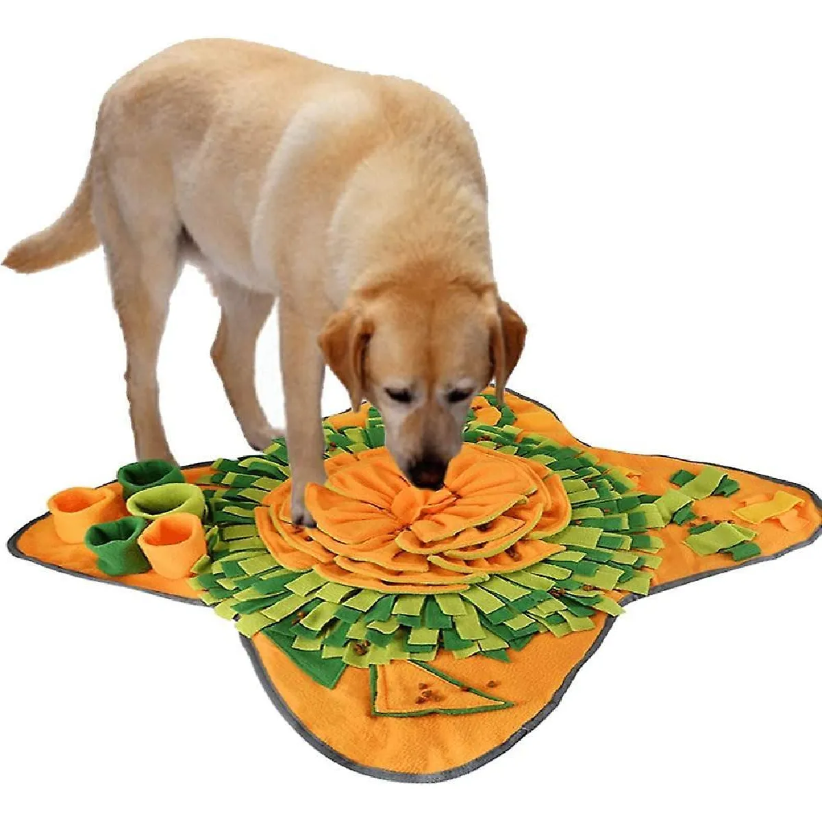 Meilleurs prix pour Tapis d'entraînement à l'odorat pour chiens - Jouet interactif d'alimentation et de jeu