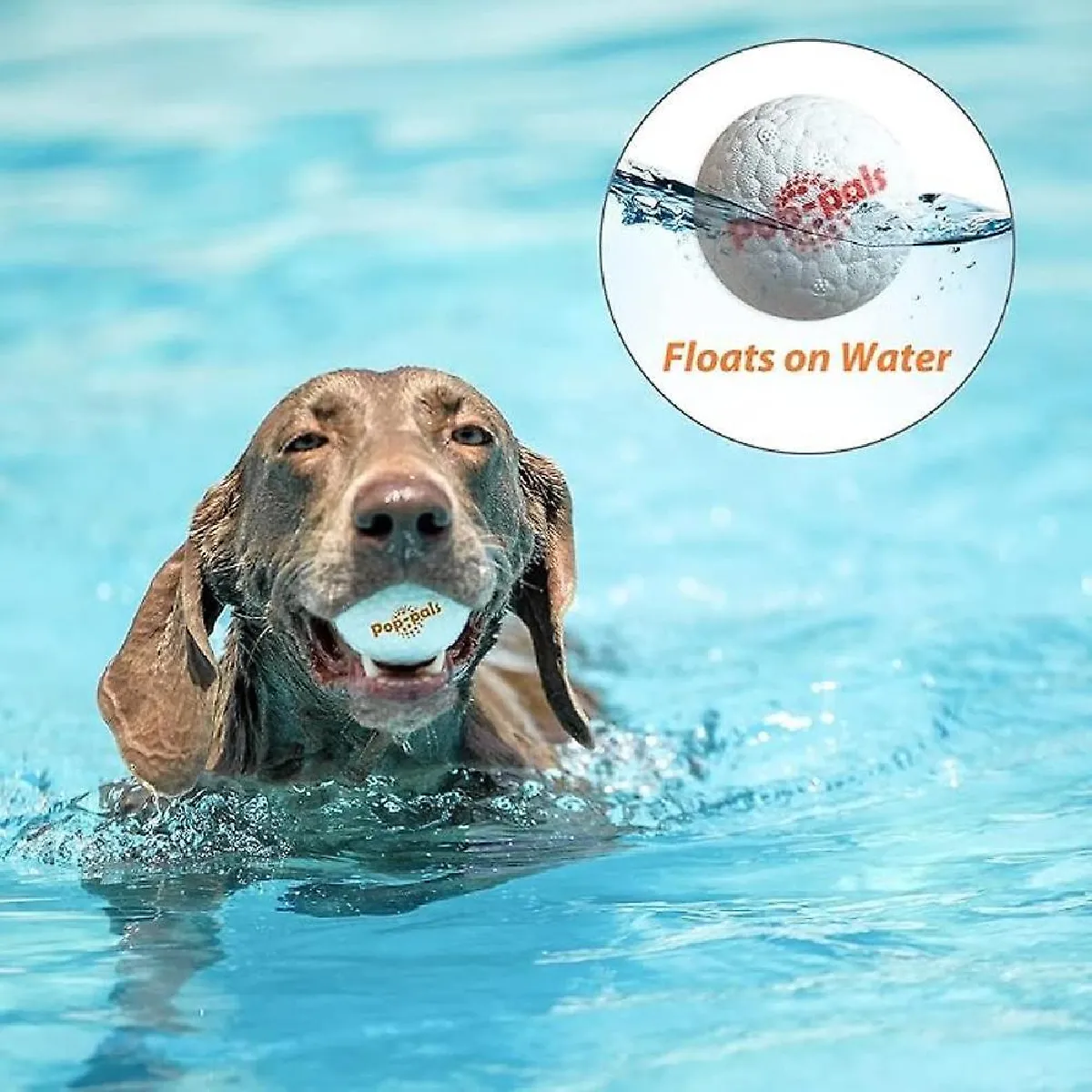 Meilleurs prix pour Pop Pals Dog Toys - Balles de chien qui ne peuvent pas être mordues pour mâcher dur Jouet pour animaux de compagnie garanti, durable et à mâcher pour les chiens moyens, petits et grands