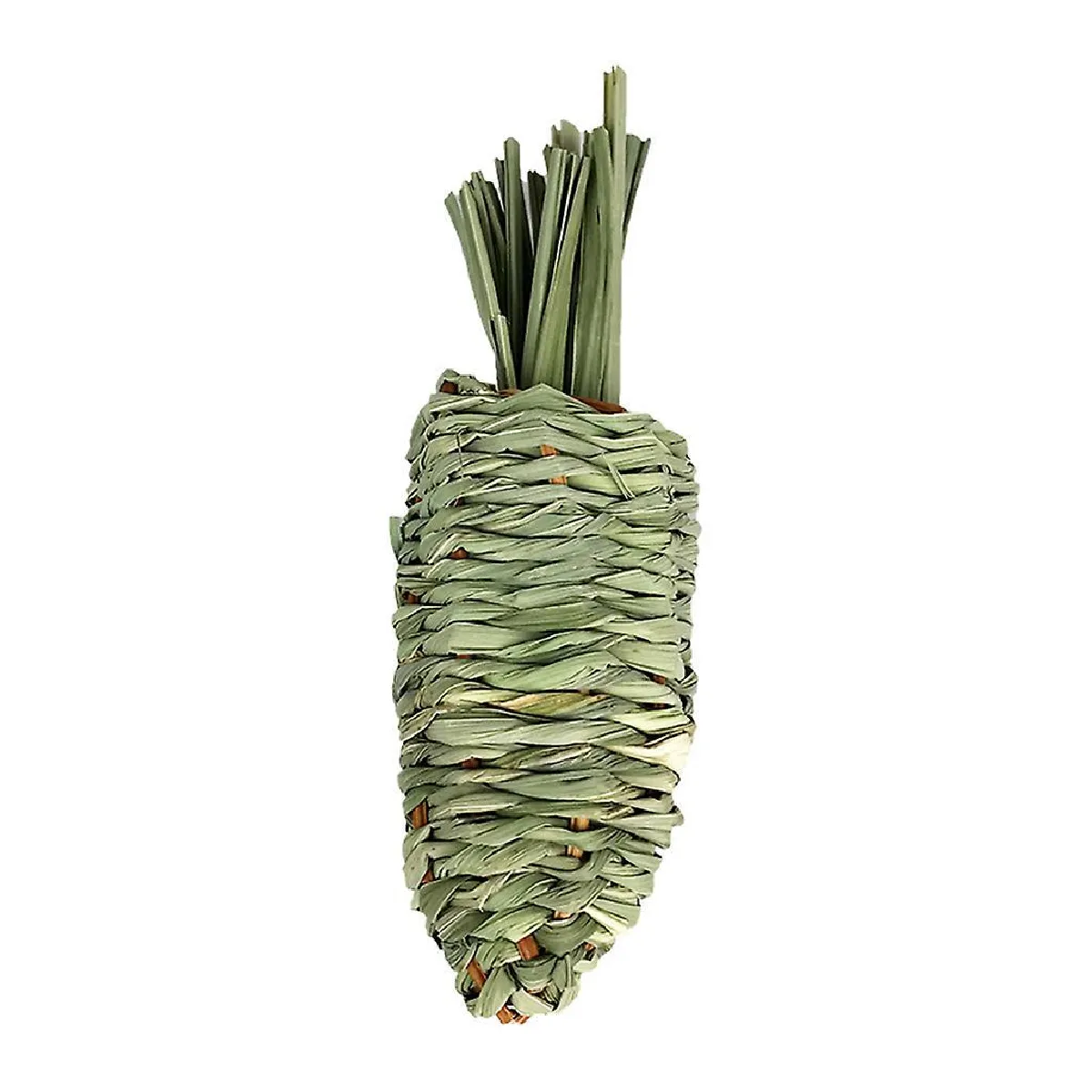 Meilleurs prix pour Jouets à mâcher en forme de carotte pour le soin des dents des lapins et des écureuils.