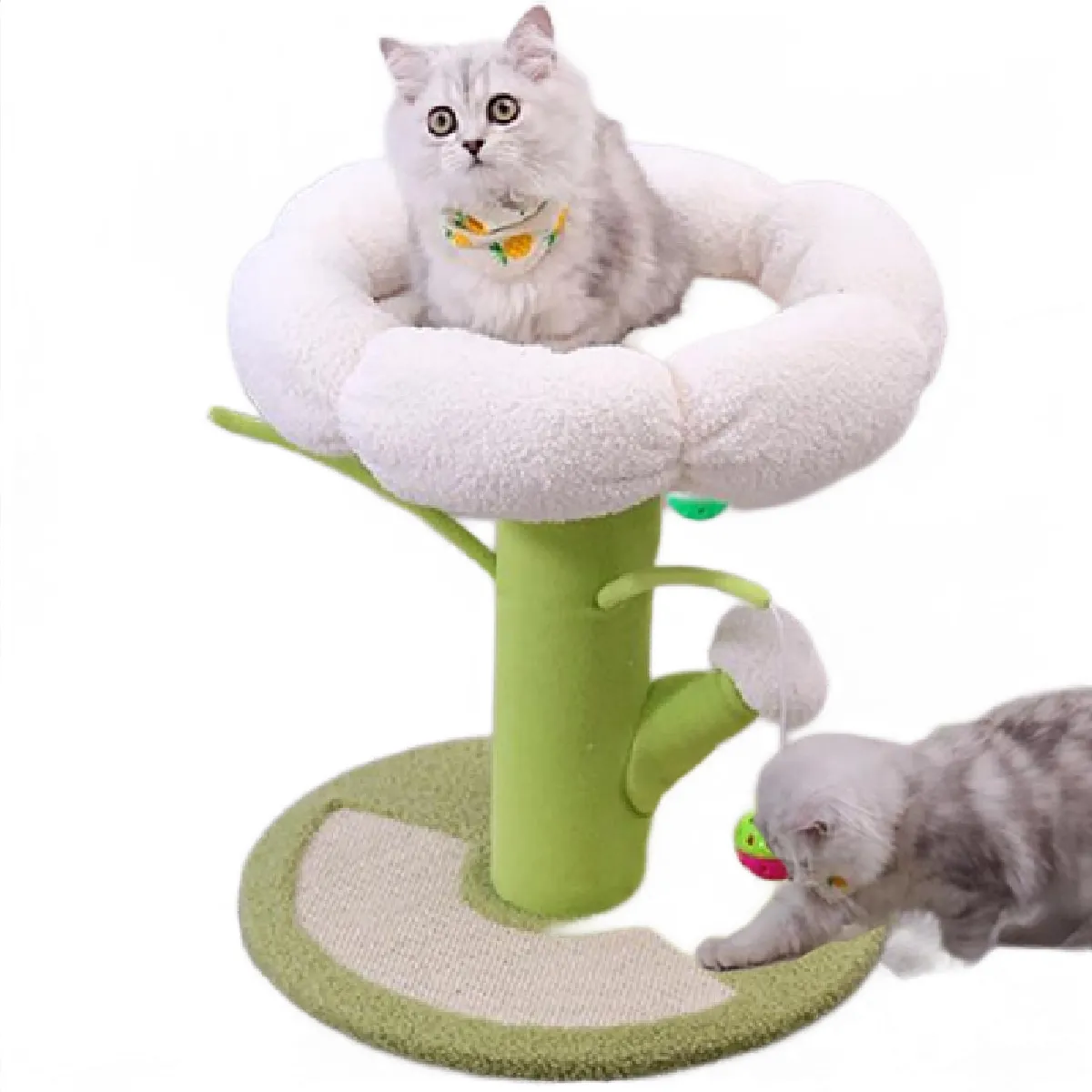 Comparer les prix de Cat Scratcher Carton Vert