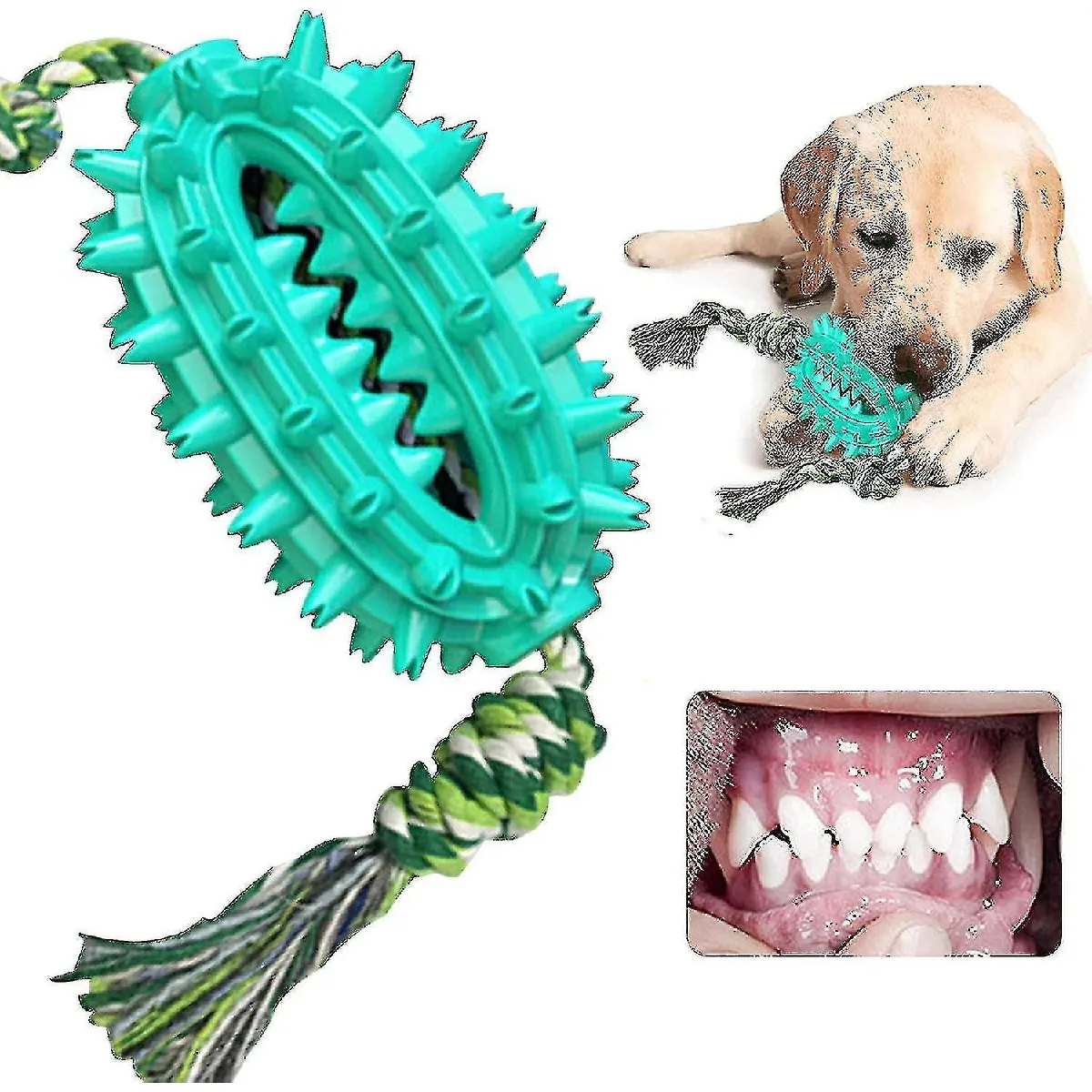 Comparer les prix de Jouet à mâcher pour chien Molar - Multifonctionnel - Jouet à mâcher - Jouet interactif Molar - Jouet à mâcher