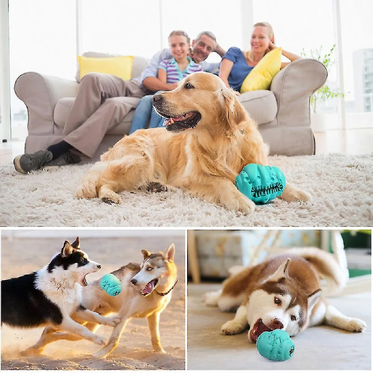 Comparer les prix de Jouets De Puzzle Pour Chiens Interactifs, Mangeoire Lente Pour Jouets, Nettoyage Des Dents, Jouets à Mâcher De Dentition Durables En Caoutchouc Naturel Non toxique Pour Chiens De Taille Moyenne St-001 J9