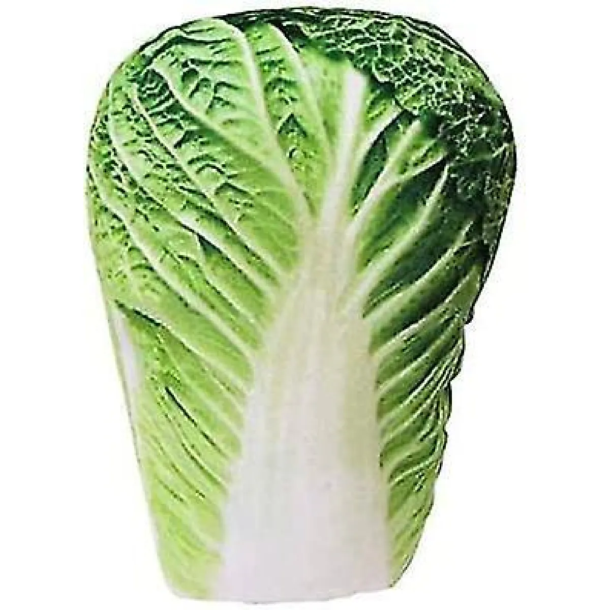 Meilleurs prix pour Jouet en peluche pour chien à mâcher et à faire couiner Jouets pour chien Chiot Jouet sonore pour animal de compagnie Jouet d'entraînement Jouets interactifs Chou