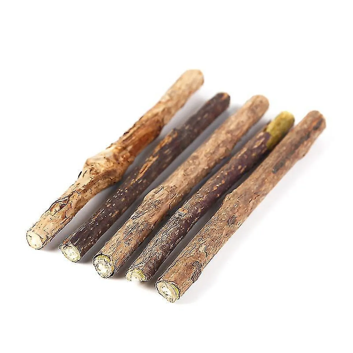 Meilleurs prix pour 5pcs Cat Chew Stick, Natural Cat Chew Toy Sticks pour chaton Kitty Nettoyage des dents