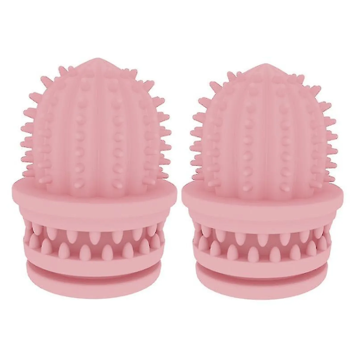 Meilleurs prix pour 2 Pcs Jouets de nettoyage de dents pour animaux de compagnie Cactus résistant à l'eau
