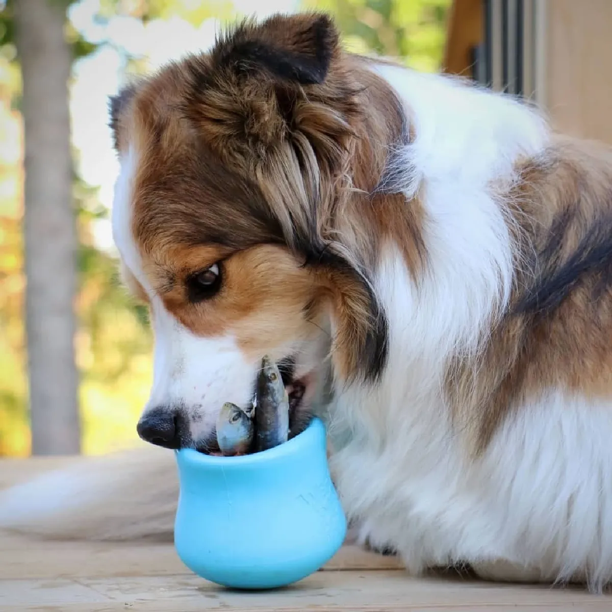 Comparer les prix de West Paw Jouet pour chiens avec Zogoflex Toppl Aqua Bleu S