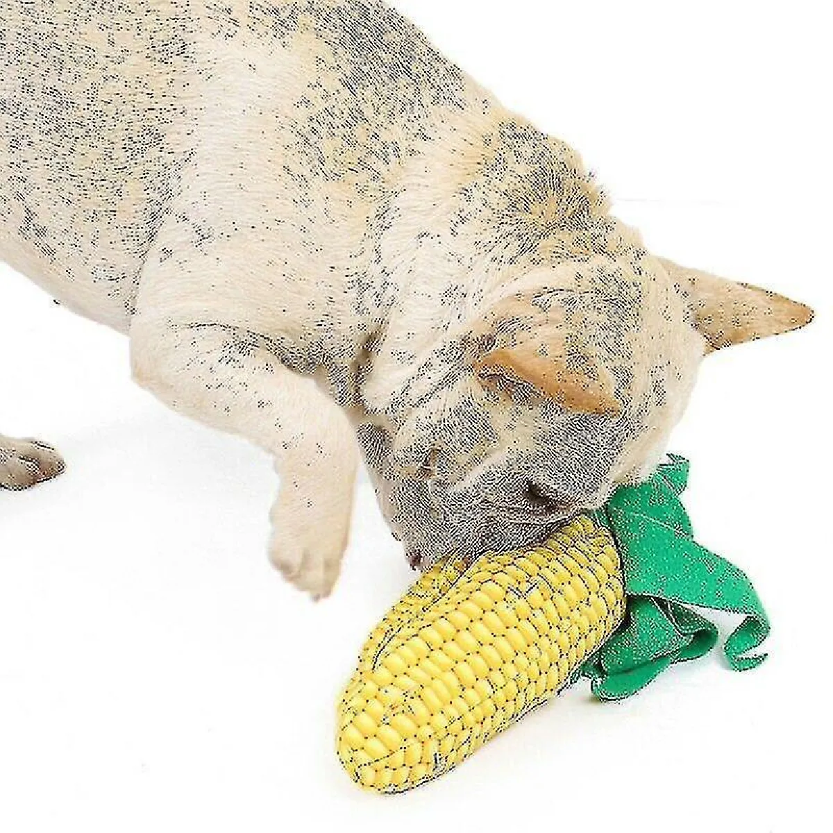 Comparer les prix de Jouets à mâcher interactifs pour chien