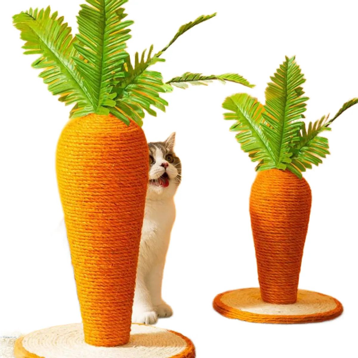 Meilleurs prix pour Carotte griffoir pour chat