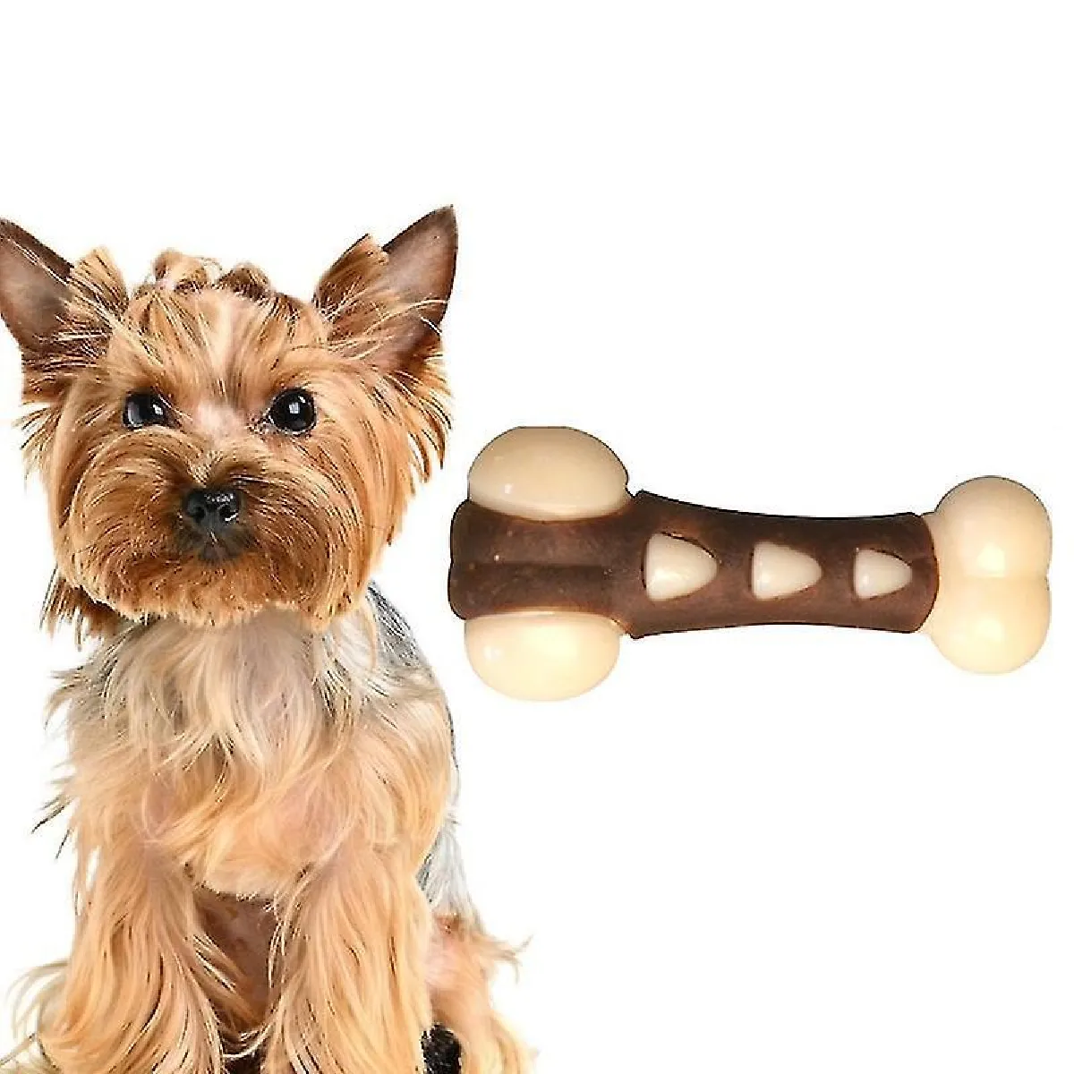 Meilleurs prix pour Pet E Toy, Spécification : Os de griffe de chien moyen