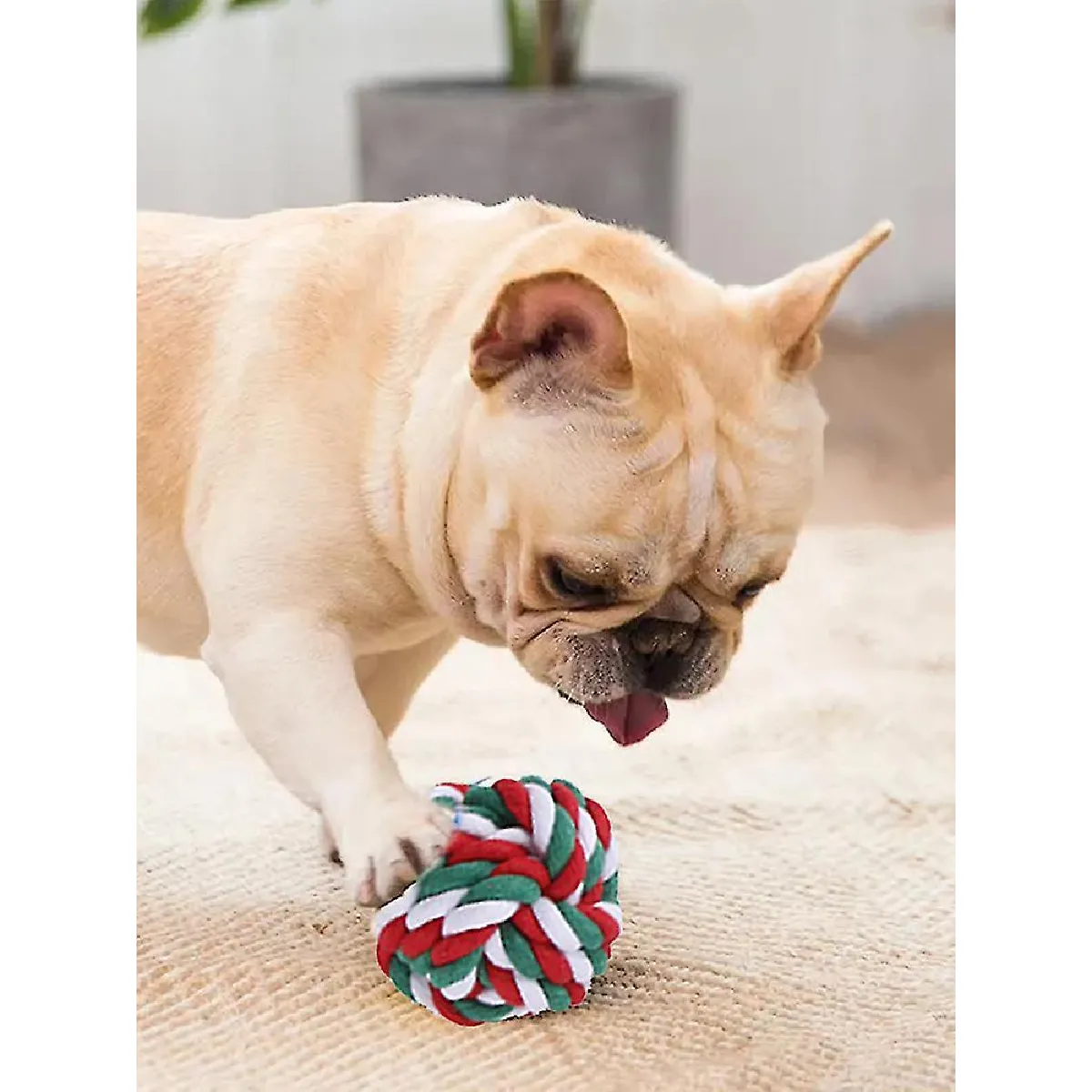 Comparer les prix de Jouets pour animaux de compagnie Doll Molar Supplies Puppet Fleece Grinding Training Funny 4pcs Santa Claus Christmas Knot Ball