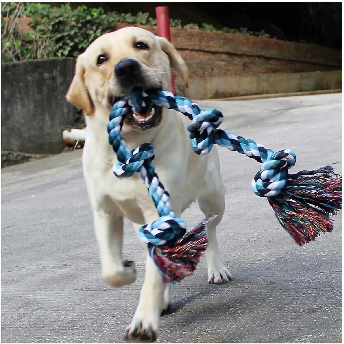 Meilleurs prix pour 2024, Jouets de corde pour chien, pour grands chiens agressifs et forts, jouets de corde durables pour chiens agressifs.