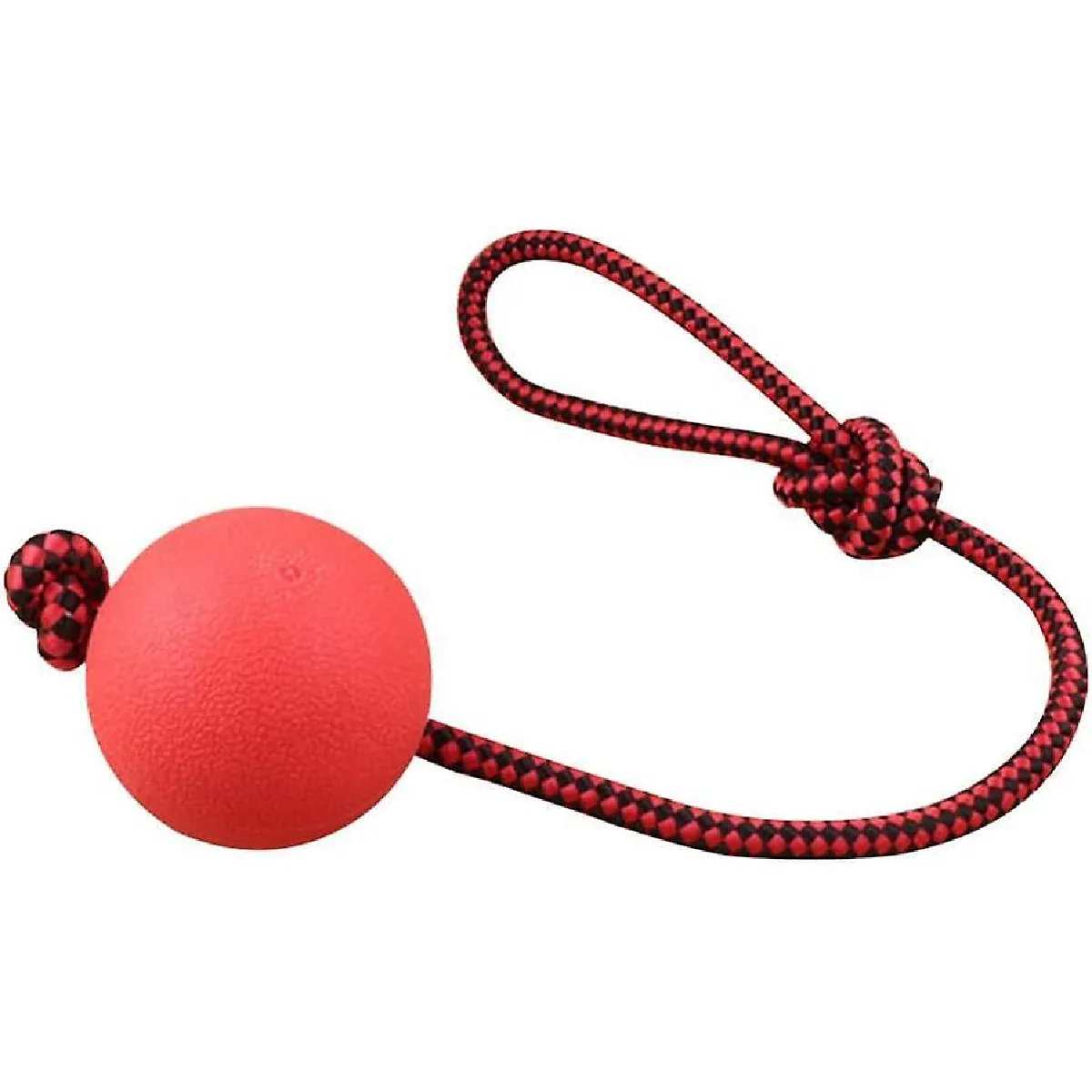 Comparer les prix de Jouet Pour Chien Balle Et Corde - Balle Pour Chien Sur Corde-Corde En Caoutchouc Solide Balle Élastique Résistant Aux Morsures Fournitures Pour Animaux De Compagnie Outil De Dressage Molaire Pour Chien Chiot