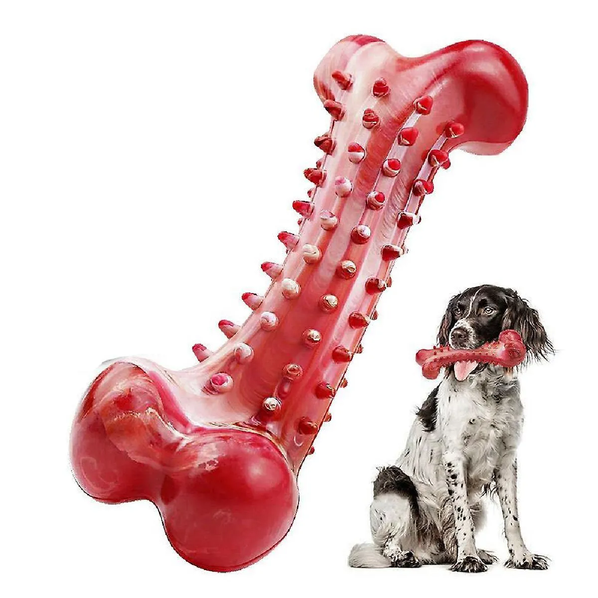 Meilleurs prix pour Jouet pour chien Brosse à dents molaire résistante aux morsures - Simulation d'os en caoutchouc naturel