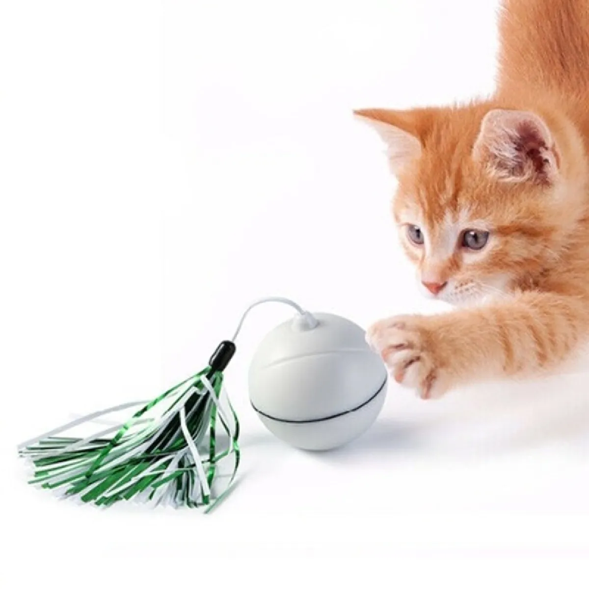 Comparer les prix de Boule LED rechargeable pour chat
