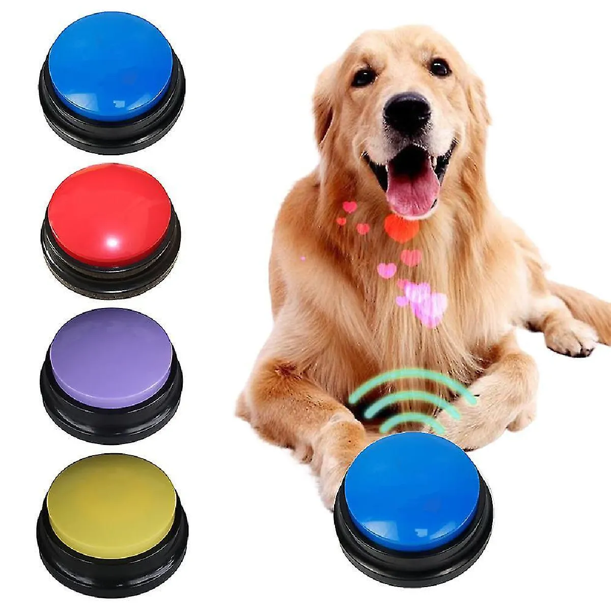 Meilleurs prix pour Jouet interactif pour chien avec bouton de communication et boîte à sons pour chiot