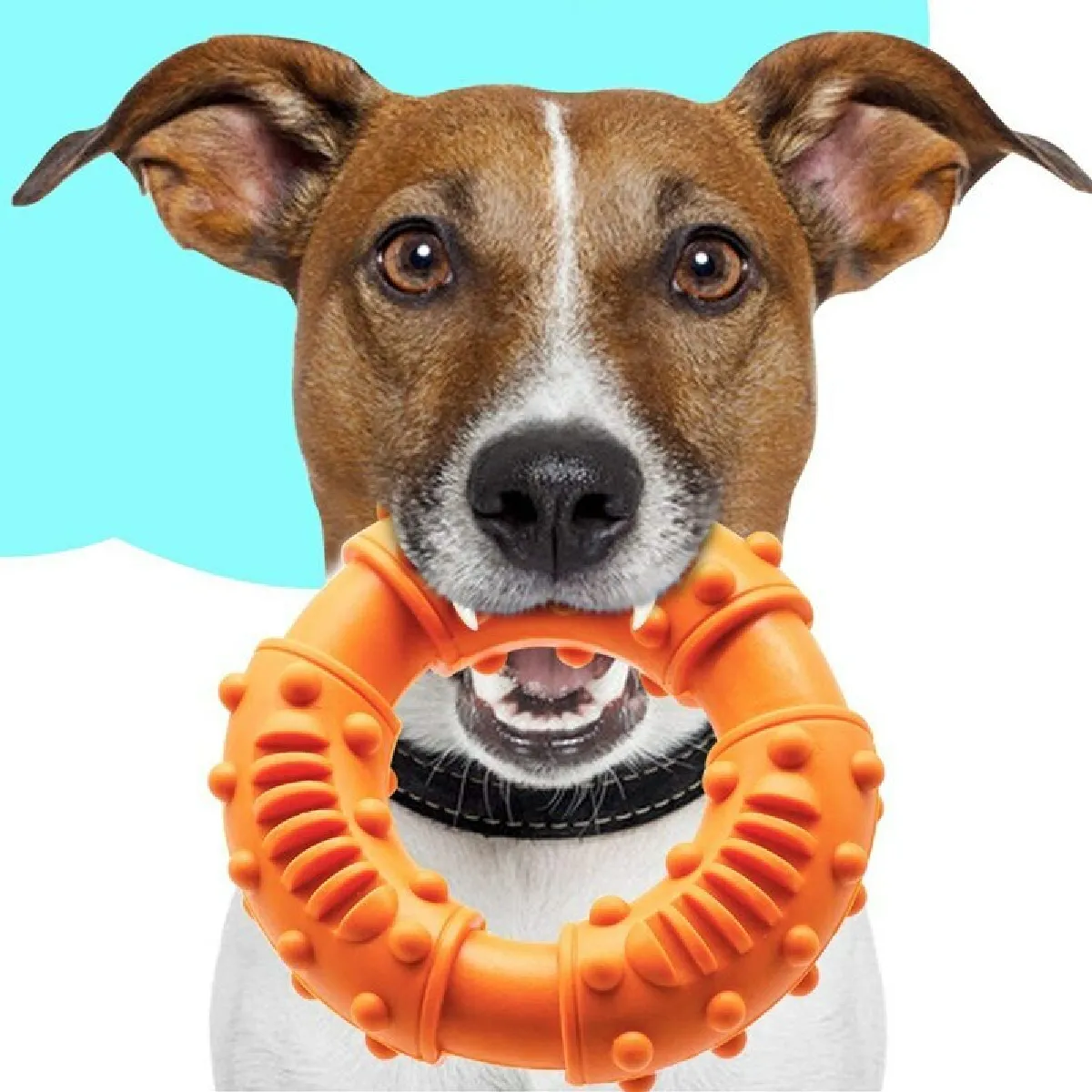 Meilleurs prix pour Boule Croquer Sonore - Orange