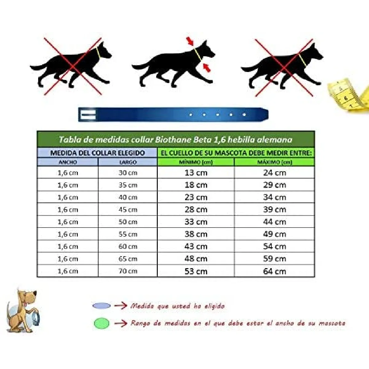 Comparer les prix de Francisco Romero ? Pack Collier Beta et Sangle, 1,6 x 60 cm, Violet