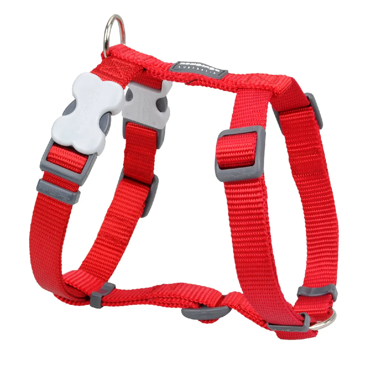 Red dingo - harnais pour chien - rouge - l