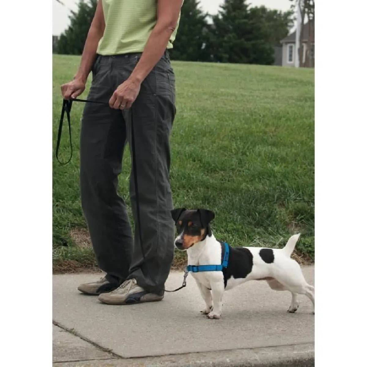 EASY WALK Harnais Deluxe S - Bleu Oc&eacute;an - Pour chien