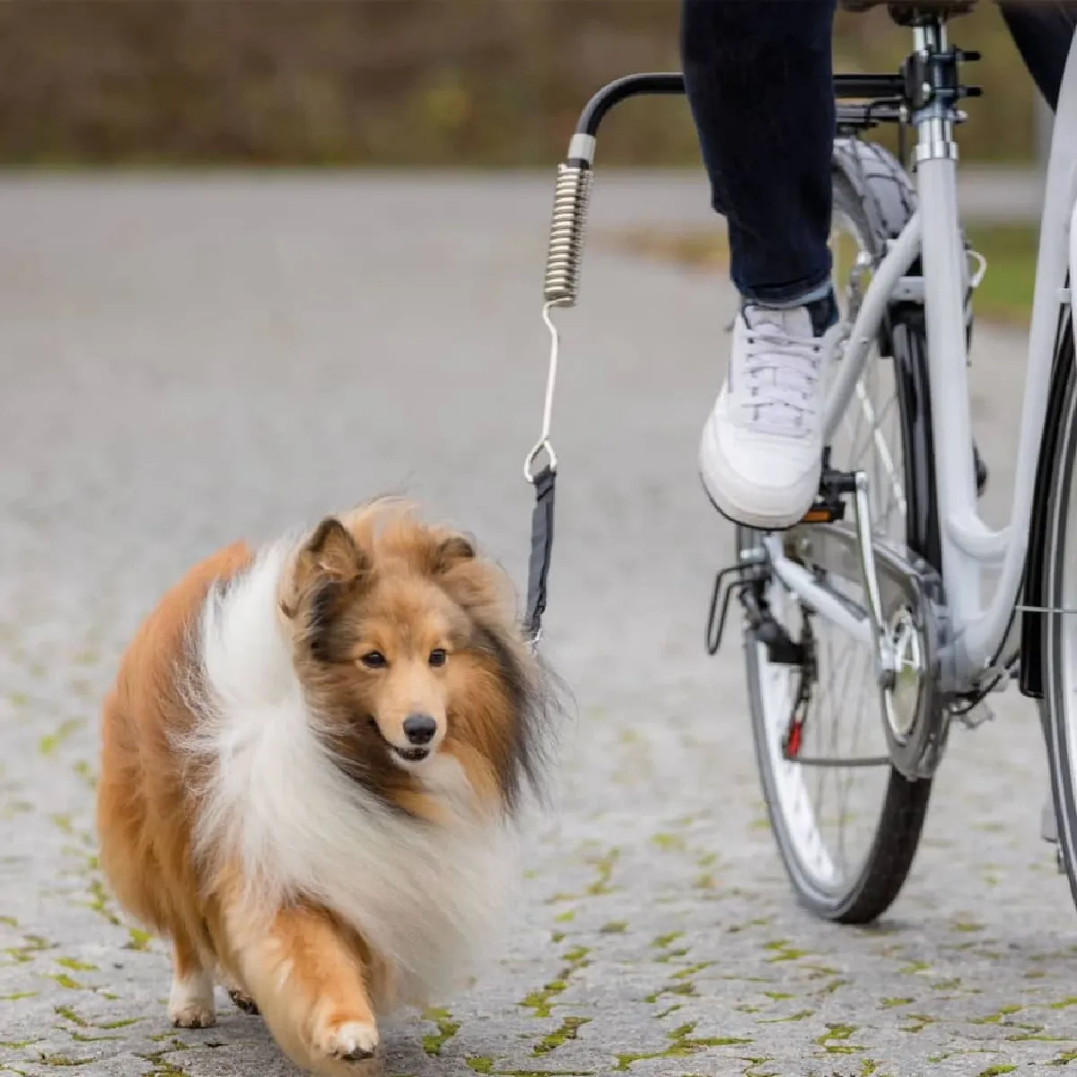 Trixie Set De Vélo Pour Chien - Image 3