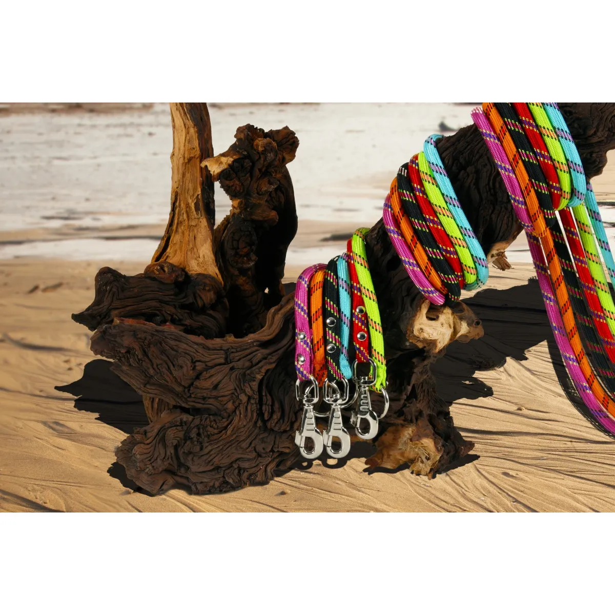 Zolux Laisse corde pour chien en nylon - 120 cm - Rouge
