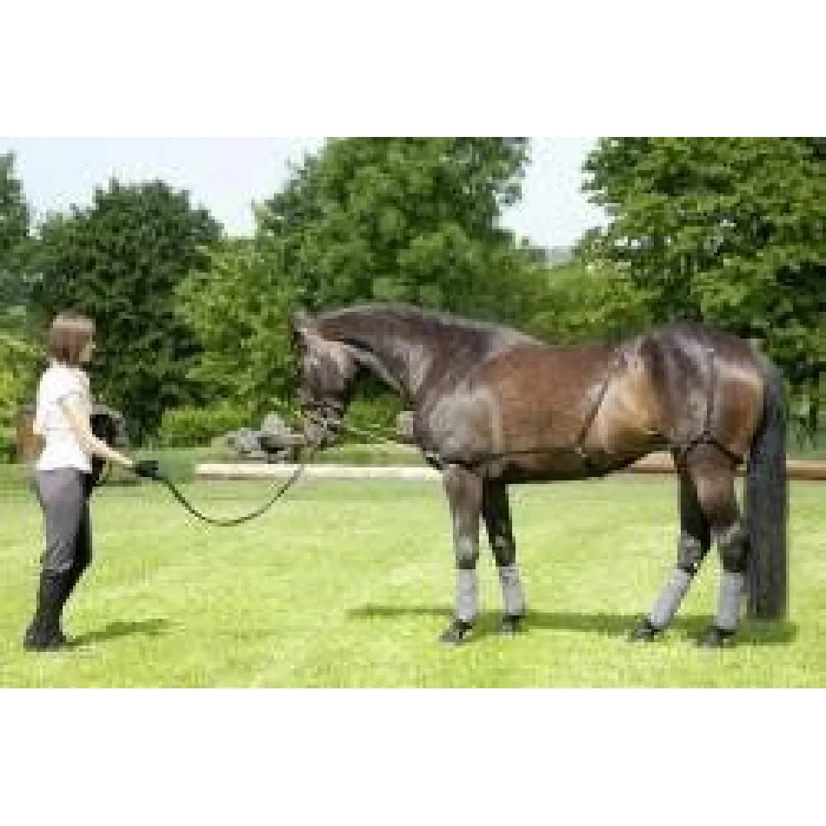 Usg Noir Longe Éthologique Pour Cheval - Image 2